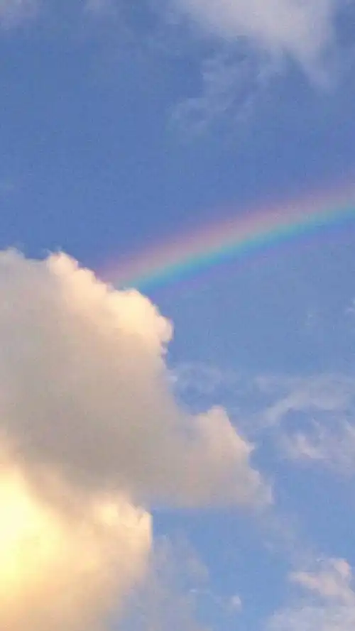 谈恋爱还没几个月就想过一辈子,交个朋友稍微对你好点就想来往一生