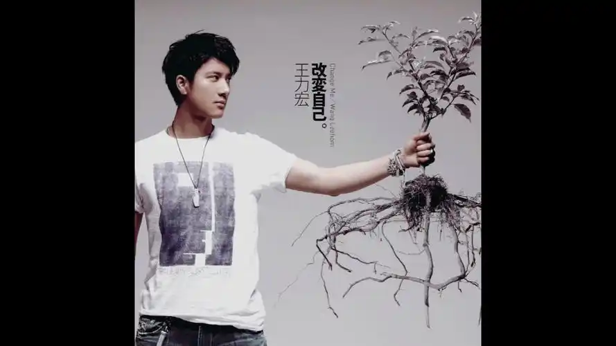 边听边聊:王力宏 《改变自己》