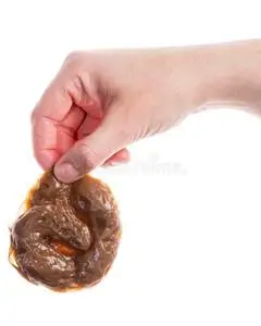 棕榈假手拿假粪照片