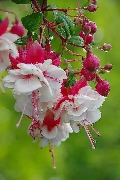 564_846竖版 竖屏