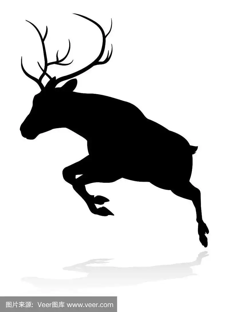 动物,剪影,鹿,动物主题,背景分离