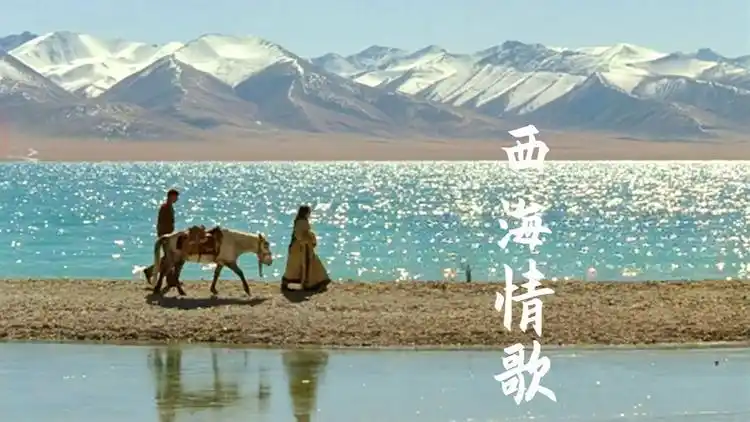 刀郎这首《西海情歌》太好听了,独特的嗓音苍茫忧伤,听完已泪目