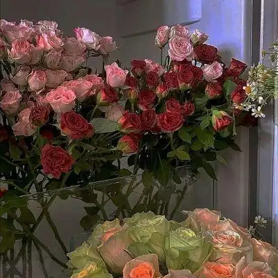 鲜花头像唯美图片大全 美丽鲜花头像风景治愈_风景头像_美头网