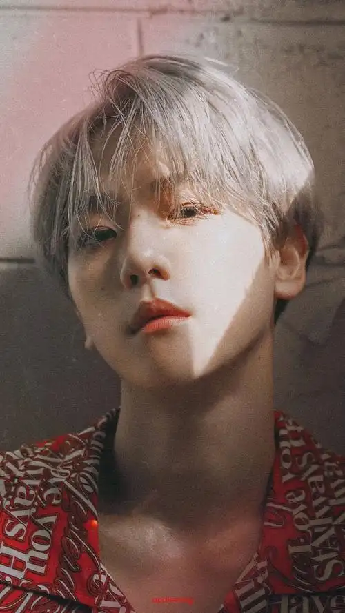 边伯贤有哪些让你惊艳的照片