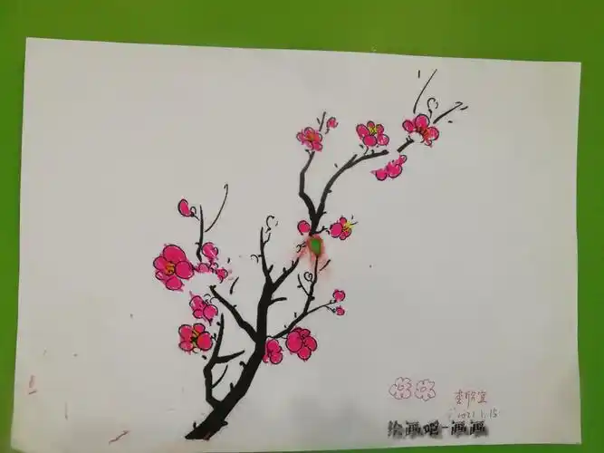 梅花(涂色画)