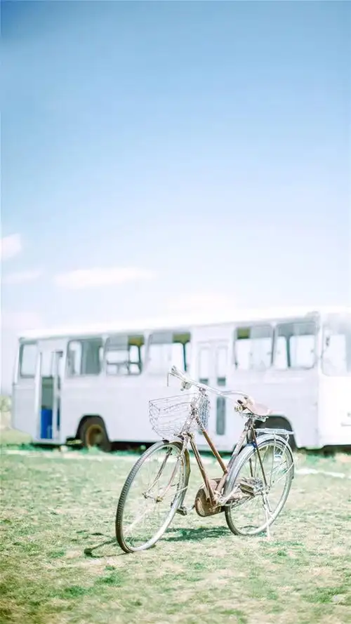 小清新,治愈系,天空,小清新,日系,文艺风,治愈系,唯美花卉,手机壁纸