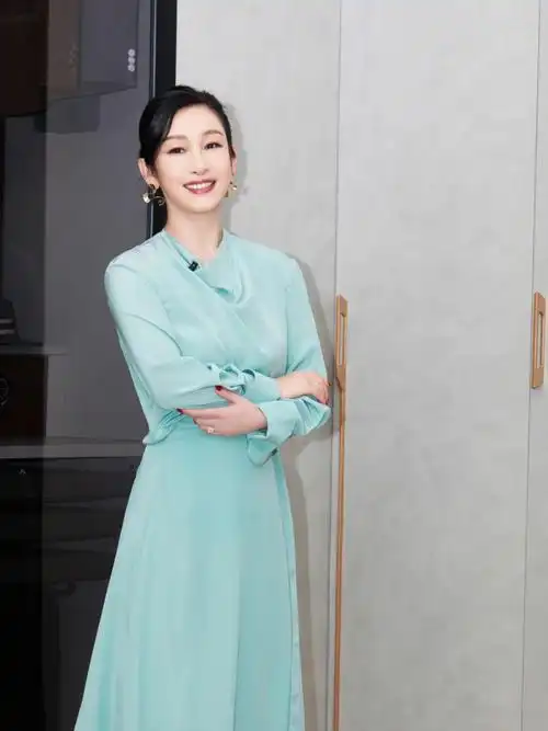 秦海璐对演技严苛对家装更要严苛