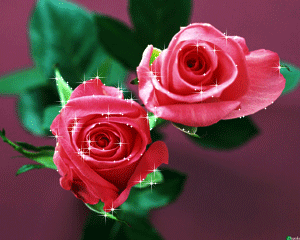 300_240gif 动态图 动图