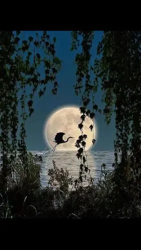 世界上最美的月亮,愿余生与你共赏