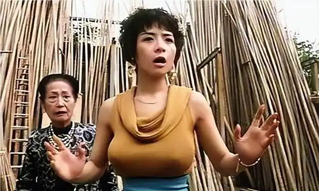 花200万为胸部买保险,如今58岁没人敢娶|荧幕|影坛|叶子楣|性感女神