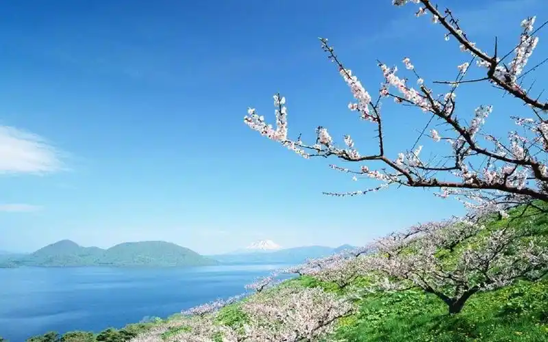 唯美的夏日风光,高清图片,电脑桌面-壁纸族