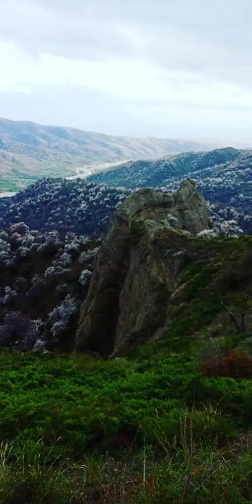 伊犁绿河谷论坛今期大西沟福寿山景色