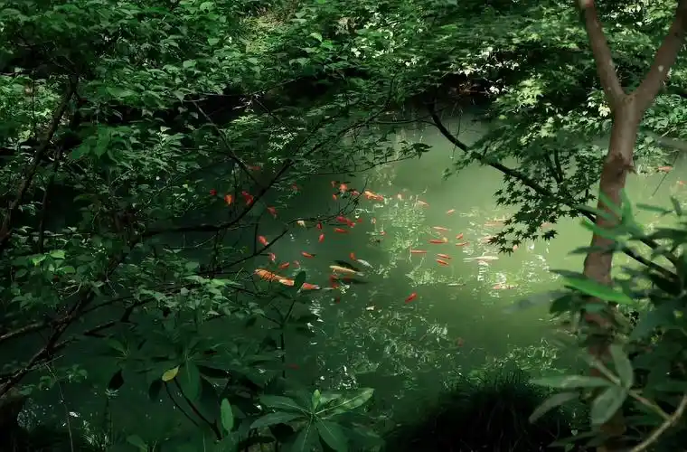 往事不可谏,来者犹可追.#山有木兮木有枝 #意境 #古风 - 抖音