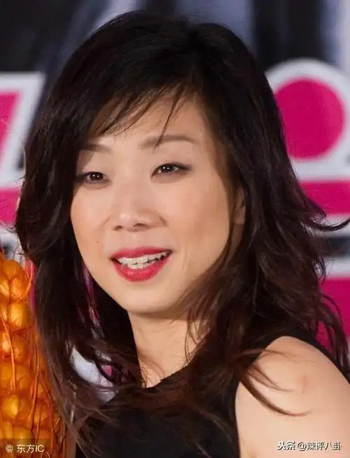 林忆莲老公资料介绍,林忆莲的老公叫什么名字(风流才子抛妻弃子爱上