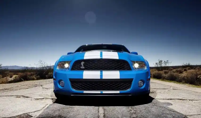 眼镜蛇车标是什么车全世界有三款车以毒蛇作为车标