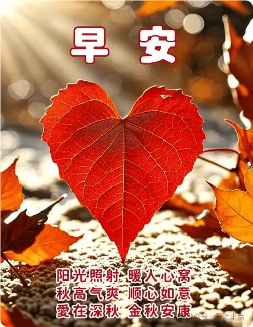 今日最新版早上好表情图片大全,祝福无声真情在,天凉切记添衣裳