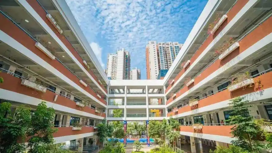 走进校园 | 罗湖中学:携手罗中,向美而行!_深圳新闻网