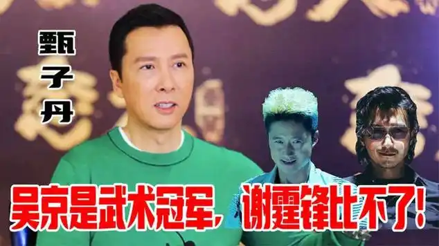 甄子丹:吴京是武术冠军,功底很深,谢霆锋肯定比不了的!