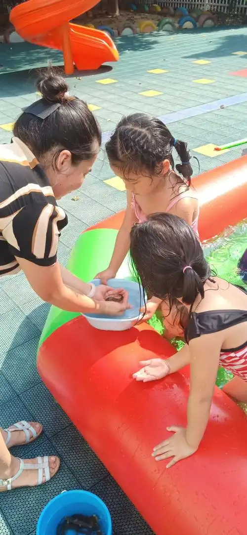 江南翠庭幼儿园大班——清凉一夏,欢乐泡泡浴 写美篇活动二:捉泥鳅