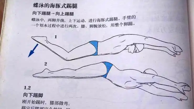 练蝶泳的同志请进,这里有蝶泳技术动作分解图,希望能助你进步