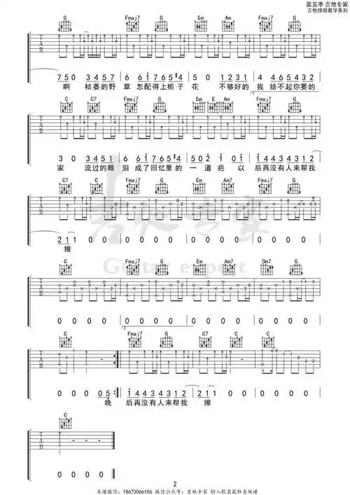 野草与栀子花 c调吉他谱 |林三七_晚风_离开_初夏