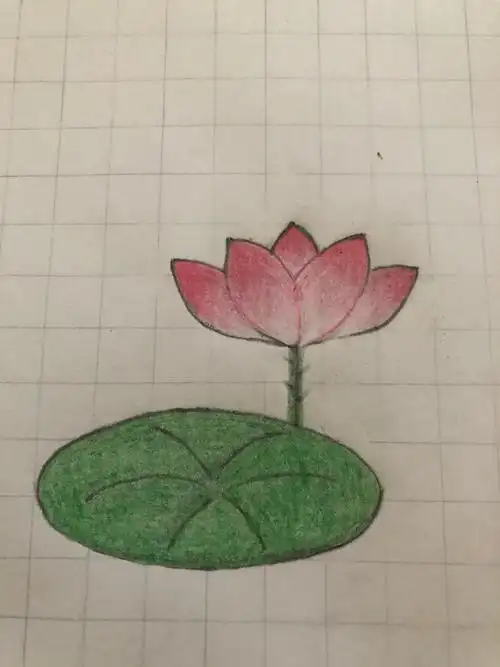 2018.11月21日一一2019.3月5日小年糕零基础,初级,中级绘画训练营学习