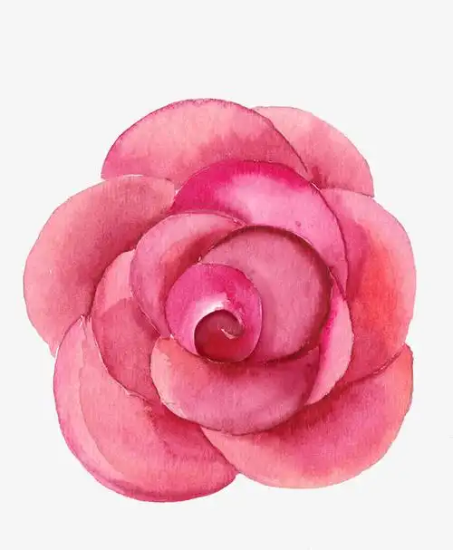 创意花卉图片花卉ps素材免抠素材免费下载_觅元素51yuansu.com