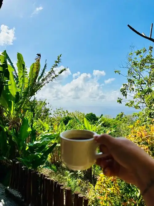 有live图有旅游真相##微博旅行家##带着微博去旅行