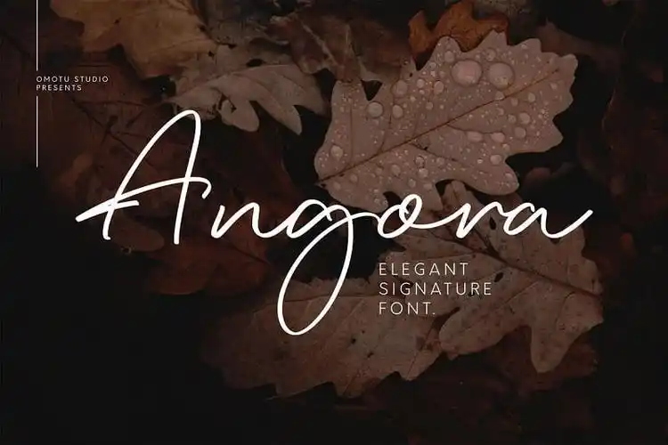 angora好看手写潦草签名手写英文字体下载