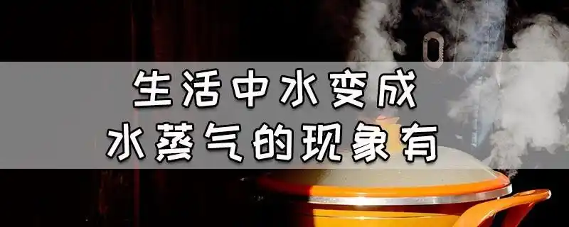 生活中水变成水蒸气的现象有
