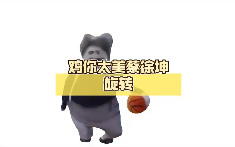 鸡你太美蔡徐坤旋转