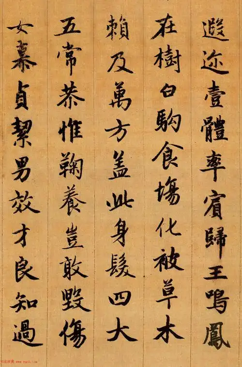 赵孟頫行书欣赏千字文2