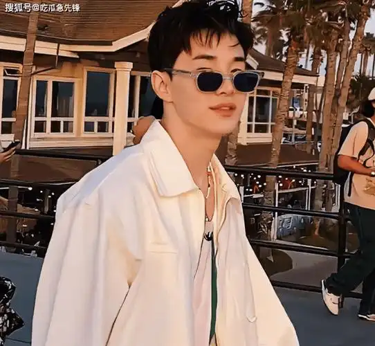 刘宪华路子走错了?撕葱花200w和解?王俊凯轻度抑郁?_影响_性格_因为