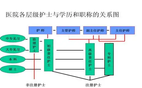 护士也有自己的成长阶梯