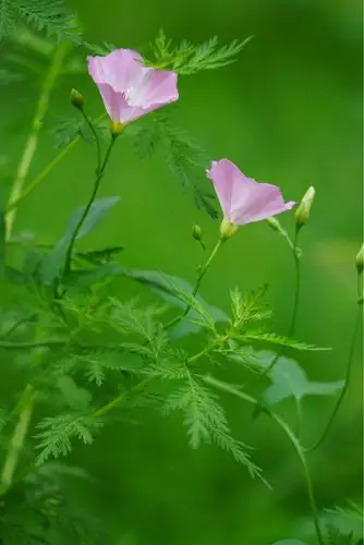 1003_1500竖版 竖屏