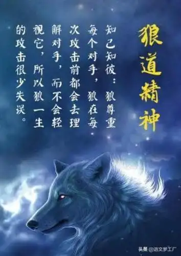 狼性励志句子霸气励志语录64条