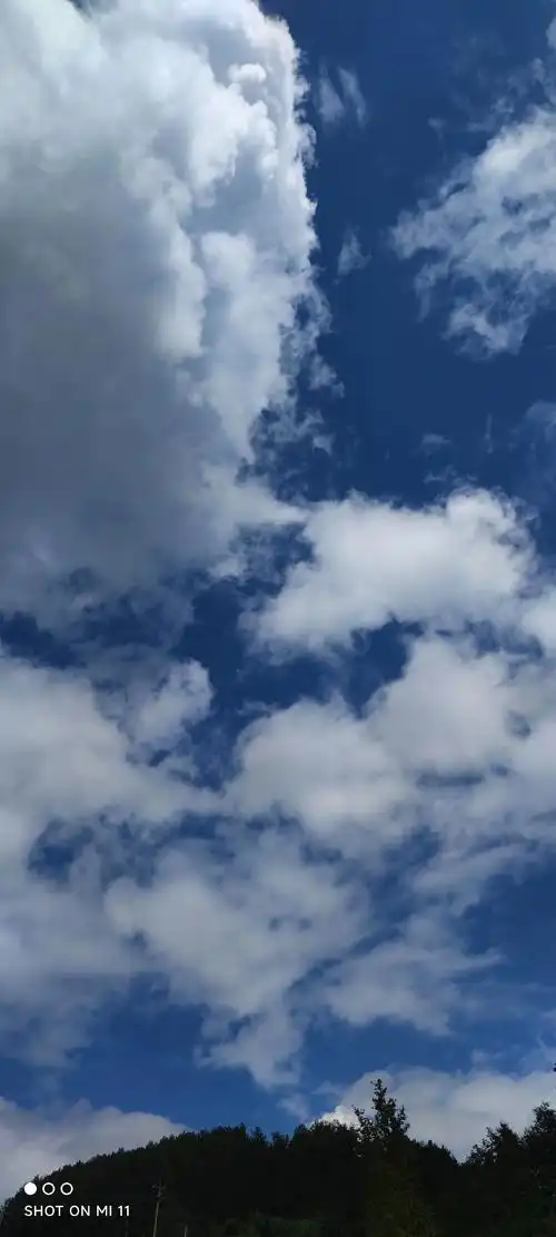 过往不念余生不扰 #始于心甘情愿终于愿赌服输  天气说变就 - 抖音