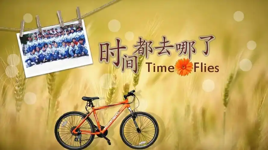 时间都去哪了复古怀旧ppt唯美动态ppt相册模板