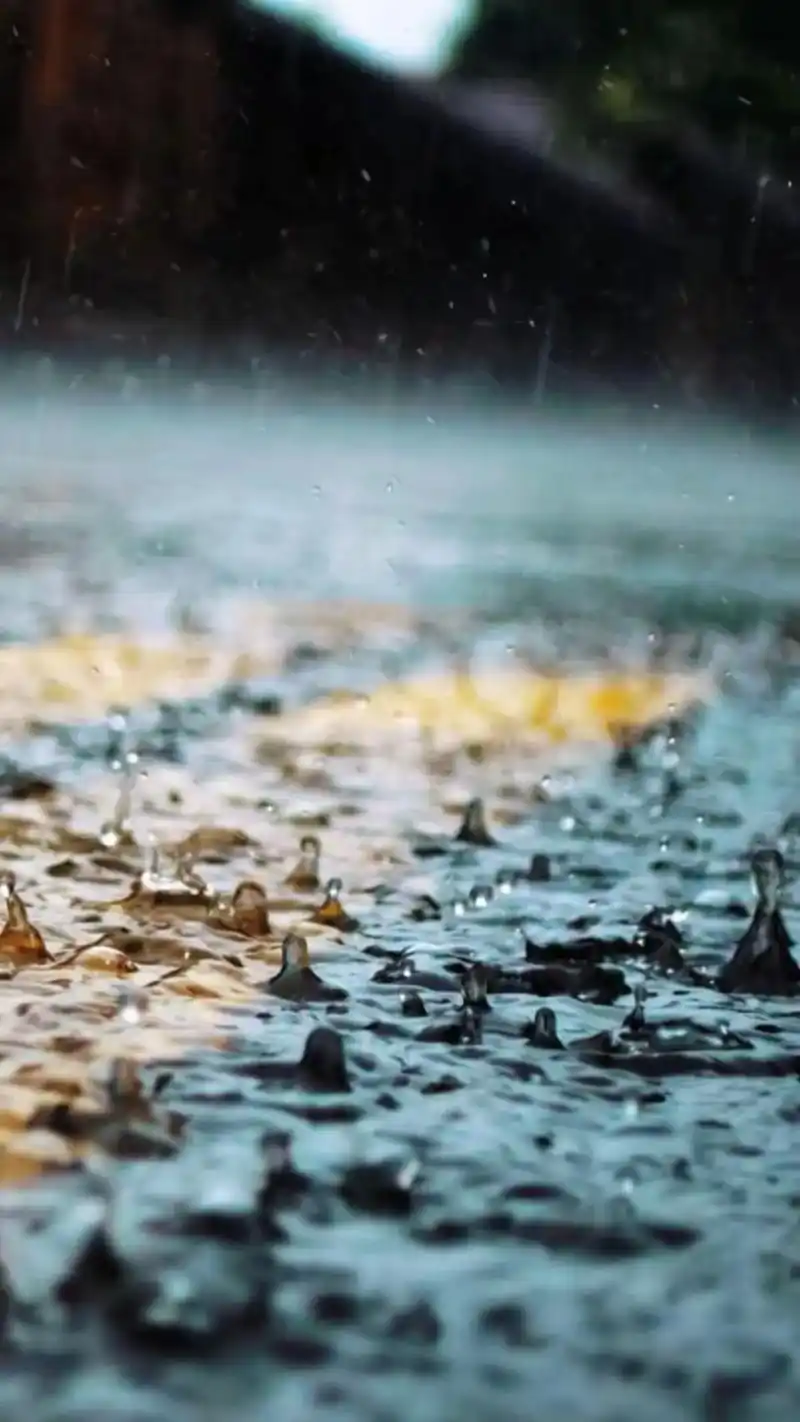 陷入雨天的氛围里 淅淅沥沥  留下自愈