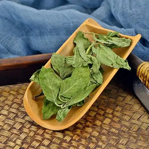 薄荷荷叶静萱筛选新鲜干薄250克中药材可磨其他药食同源食品