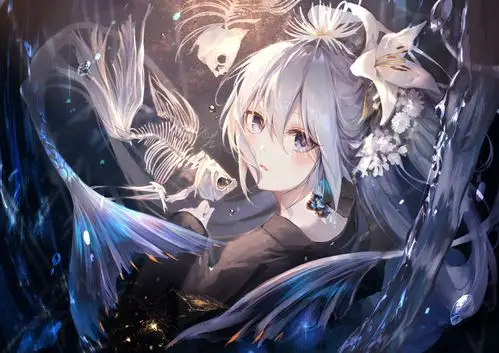 p站二次元动漫美女合集超清8k