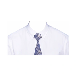 正装免冠照证件照衬衫女士模板