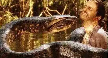 世界上最大的蛇,亚马逊森蚺长10米重225公斤(生吞活人)