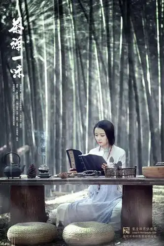 古风人像 茶禅一味