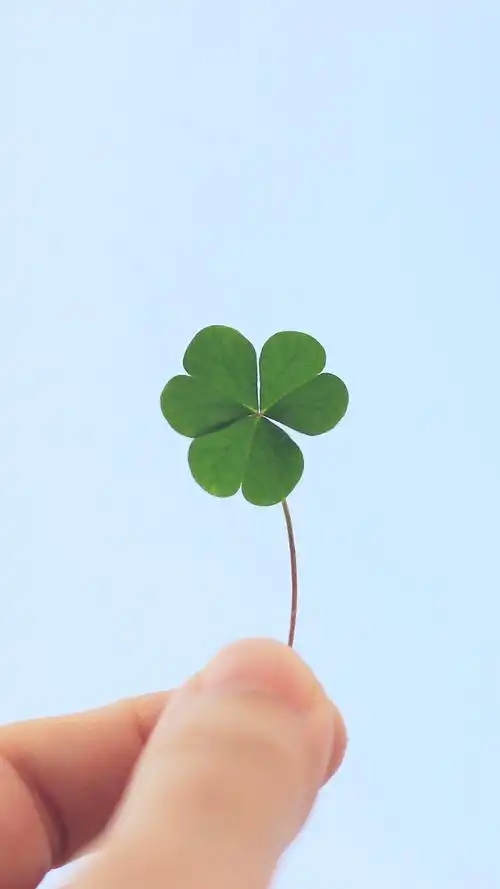 清新 可爱 简约 唯美 卡通 壁纸