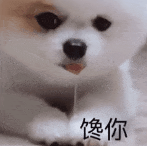 狗狗流口水馋你表情包手摇档位开车动态表情包我给你量身定制了新家规