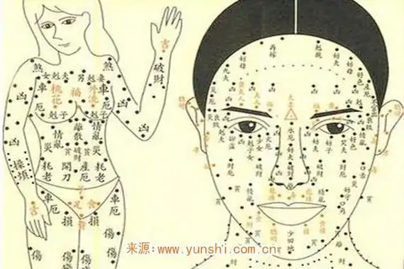 长在哪里的痣是美人痣