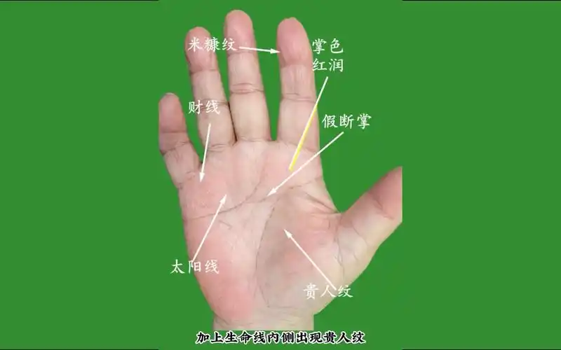 95岁老人的手相