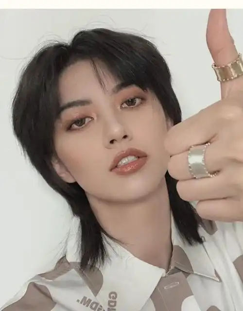 鲻鱼头假发男短发韩版帅气中分短直发狼尾头男士发型自然全头套式 你