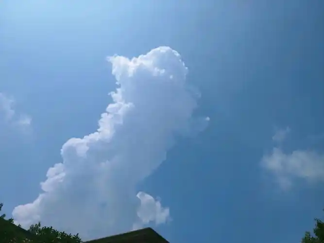 云朵  #搞笑日常我觉得像朱厌,朱厌变小了多可爱呀变大了就是肌肉